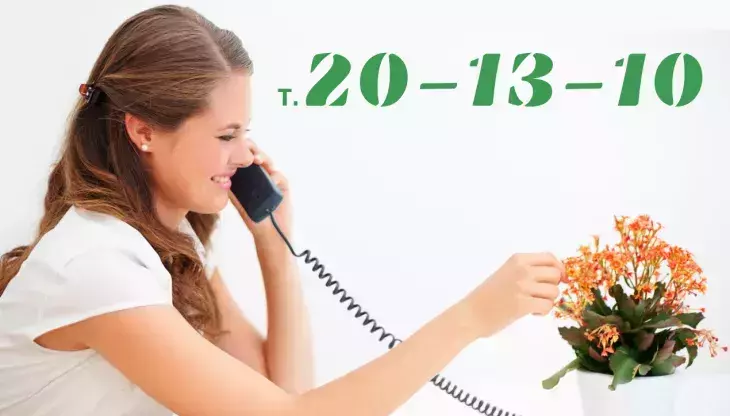 Телефон 20-13-10